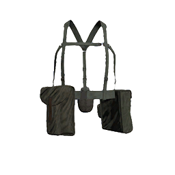 File:picture gm pl army vest 80 marksman gry ca.png