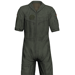 File:picture gm ge army uniform pilot rolled oli ca.png