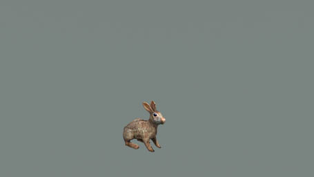 File:arma3-rabbit f.jpg