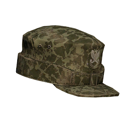 File:picture gm pl army headgear cap 80 frog ca.png