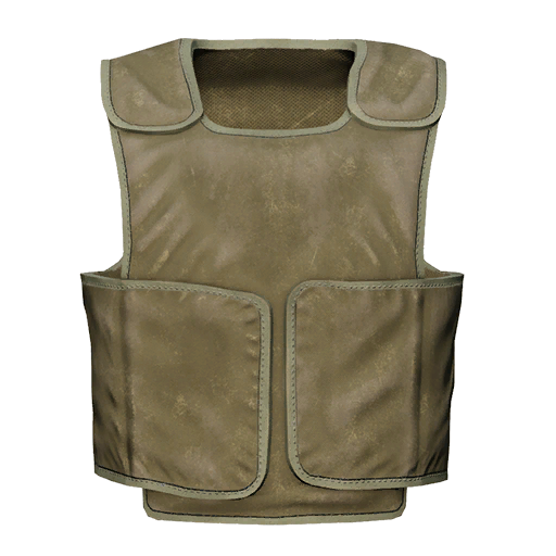 File:picture gm ge bgs vest type3 oli ca.png