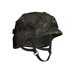 File:picture gm dk headgear m96 cover wdl ca.png