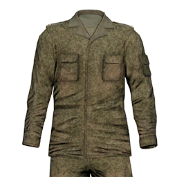 File:picture gm pl army uniform soldier 80 frog ca.png