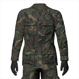 File:picture gm ge uniform soldier bdu 80 wdl ca.png