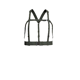 File:picture gm pl army vest 80 rig gry ca.png