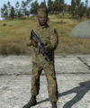 Arma2 USMC officer.jpg