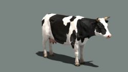 SPE Cow Black.jpg