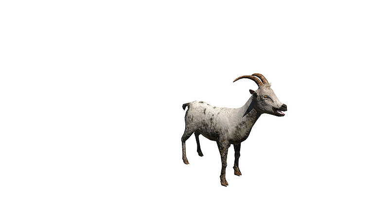 File:Arma3 CfgVehicles Goat random F.jpg