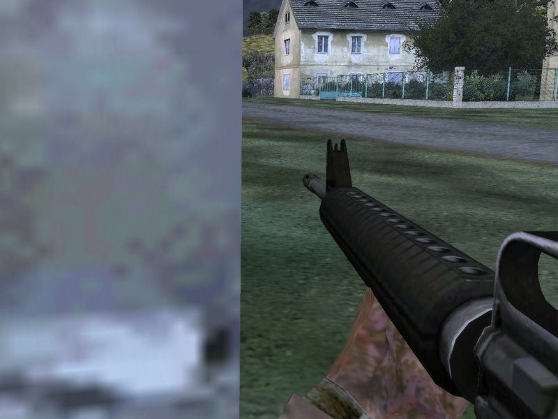 File:OFP What you see first person.jpg