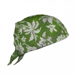 arma3-icon h bandana surfer grn ca.png