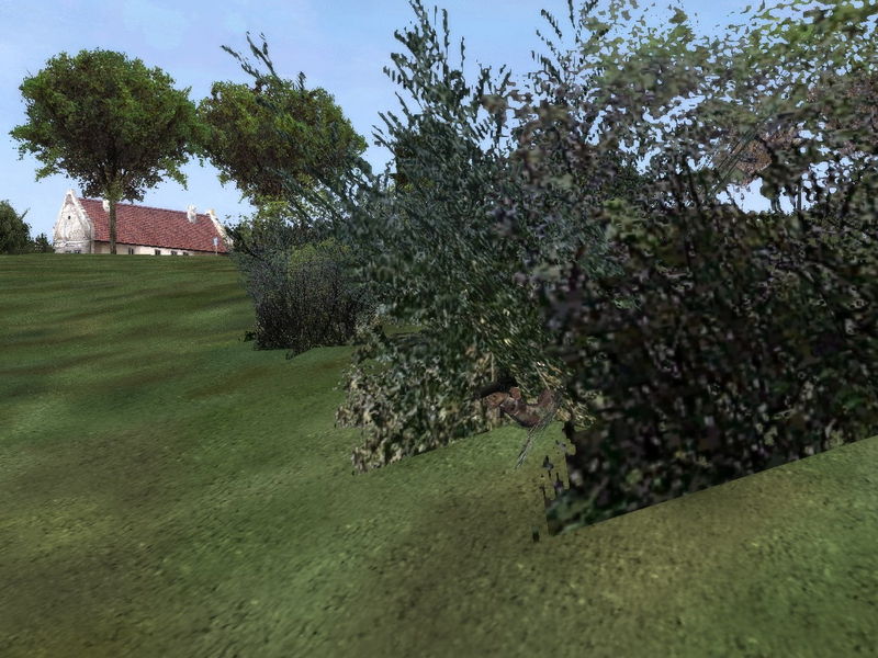 File:OFP What they see bush.jpg