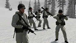 Bundesheer soldiers in winter